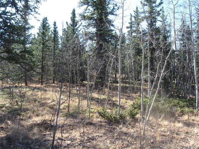 383 Pinto Trail - Photo 1