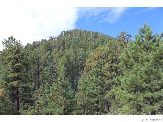 796 Matterhorn Circle - Photo 1
