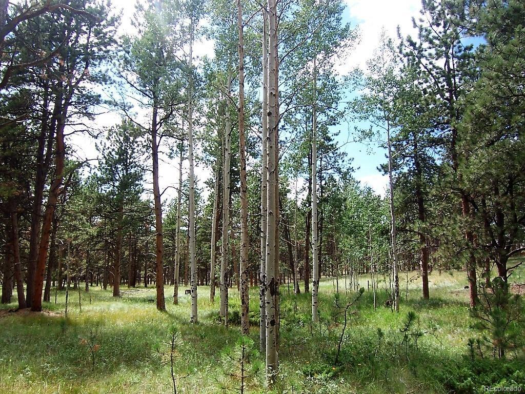 681 Skyline Drive - Photo 1