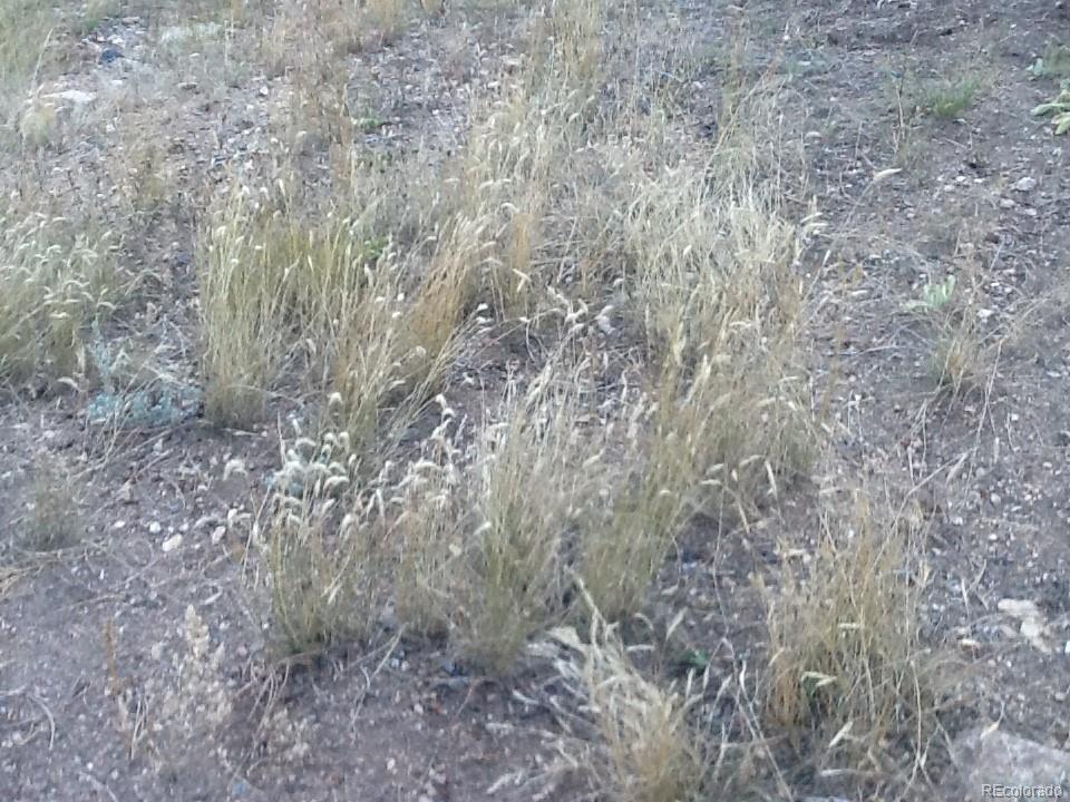 0000 County Road 178 & 53 Lot 12 - Photo 1