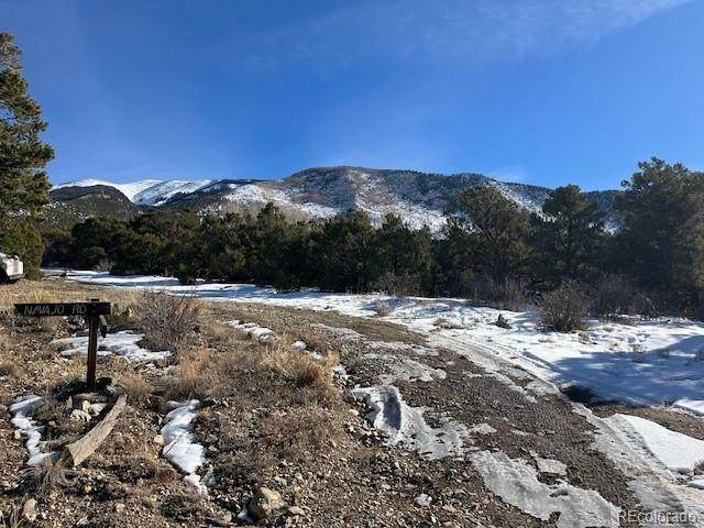 209 Blanca Place - Photo 1