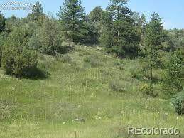 0000 Streamside Drive - Photo 1