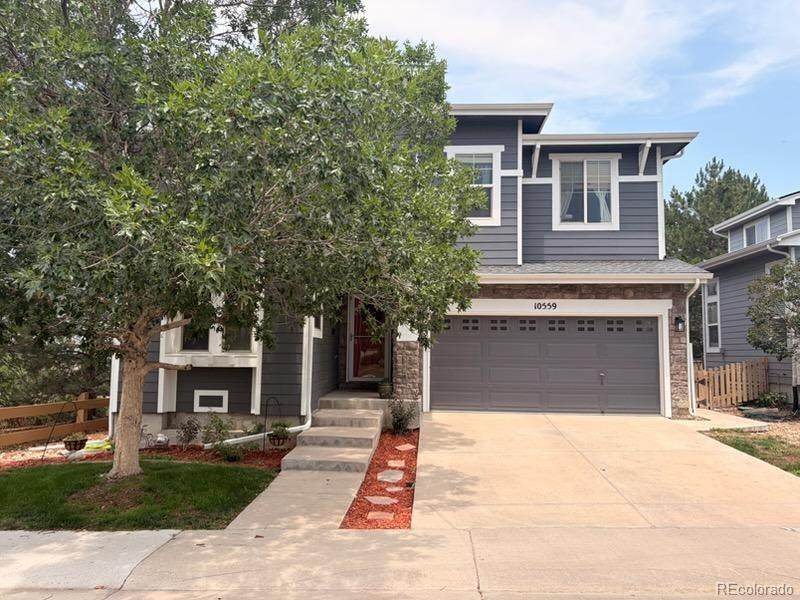 10559 Jewelberry Trail - Photo 1