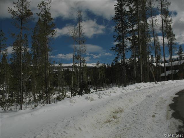 135 Leland Creek - Photo 1
