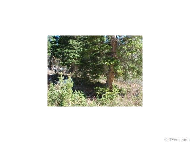 Lot 34 Mine Road - Photo 1