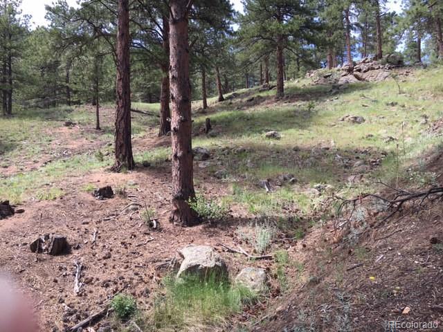 612 Wagonwheel Gap Road - Photo 1