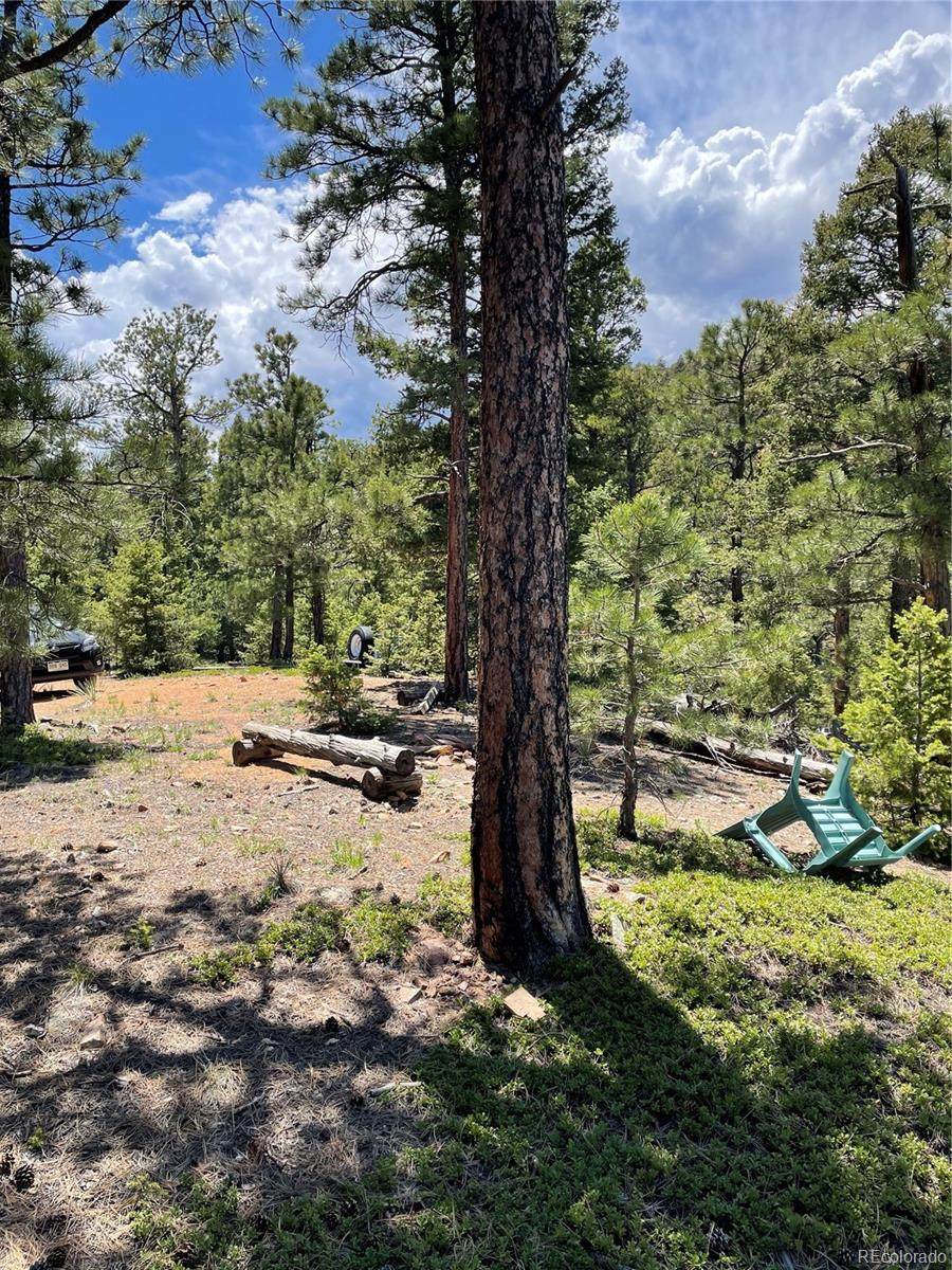 3550 Old Stage Road - Photo 1