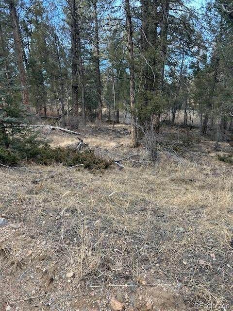12887 Cindy Avenue - Photo 1