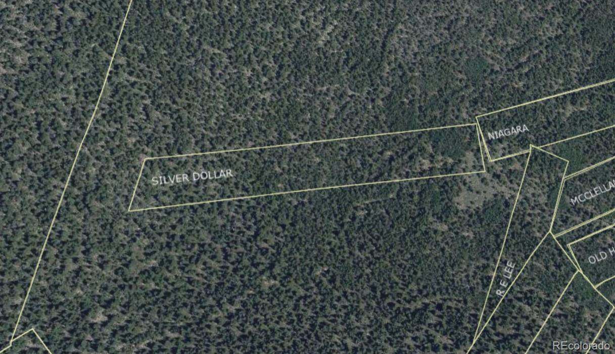 000 Silver Dollar Lode - Photo 1