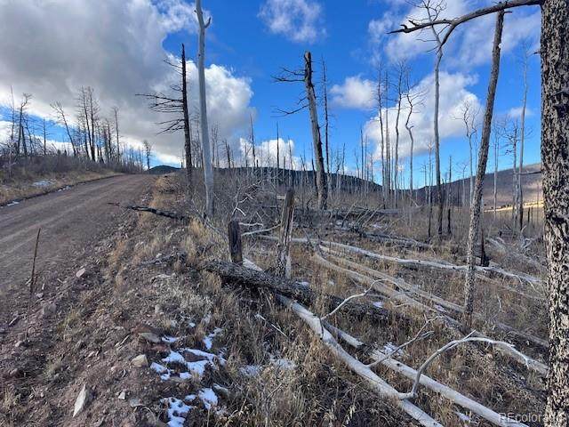 Lot 2397 Petito Drive - Photo 1