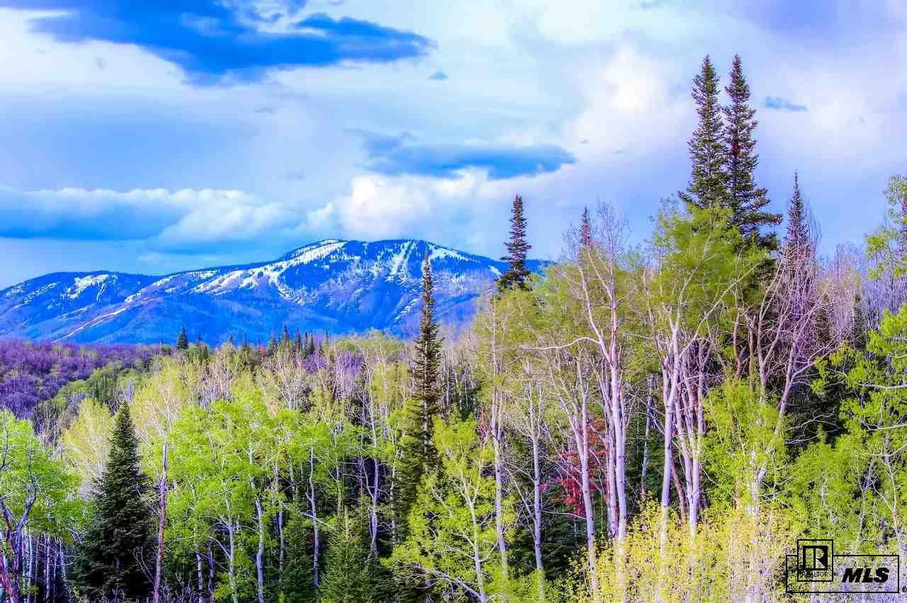 28600 Skyline Drive - Photo 1