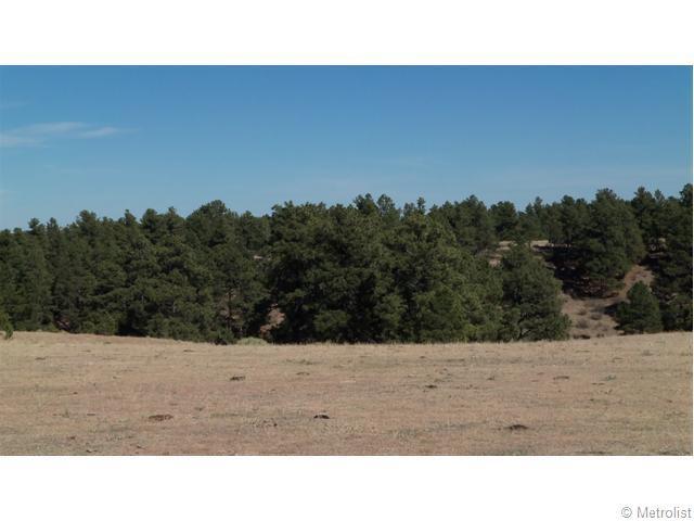 11965 County Road 94 - Photo 1