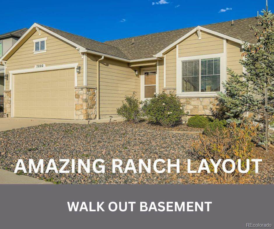 7003 Thorn Brush Way - Photo 1