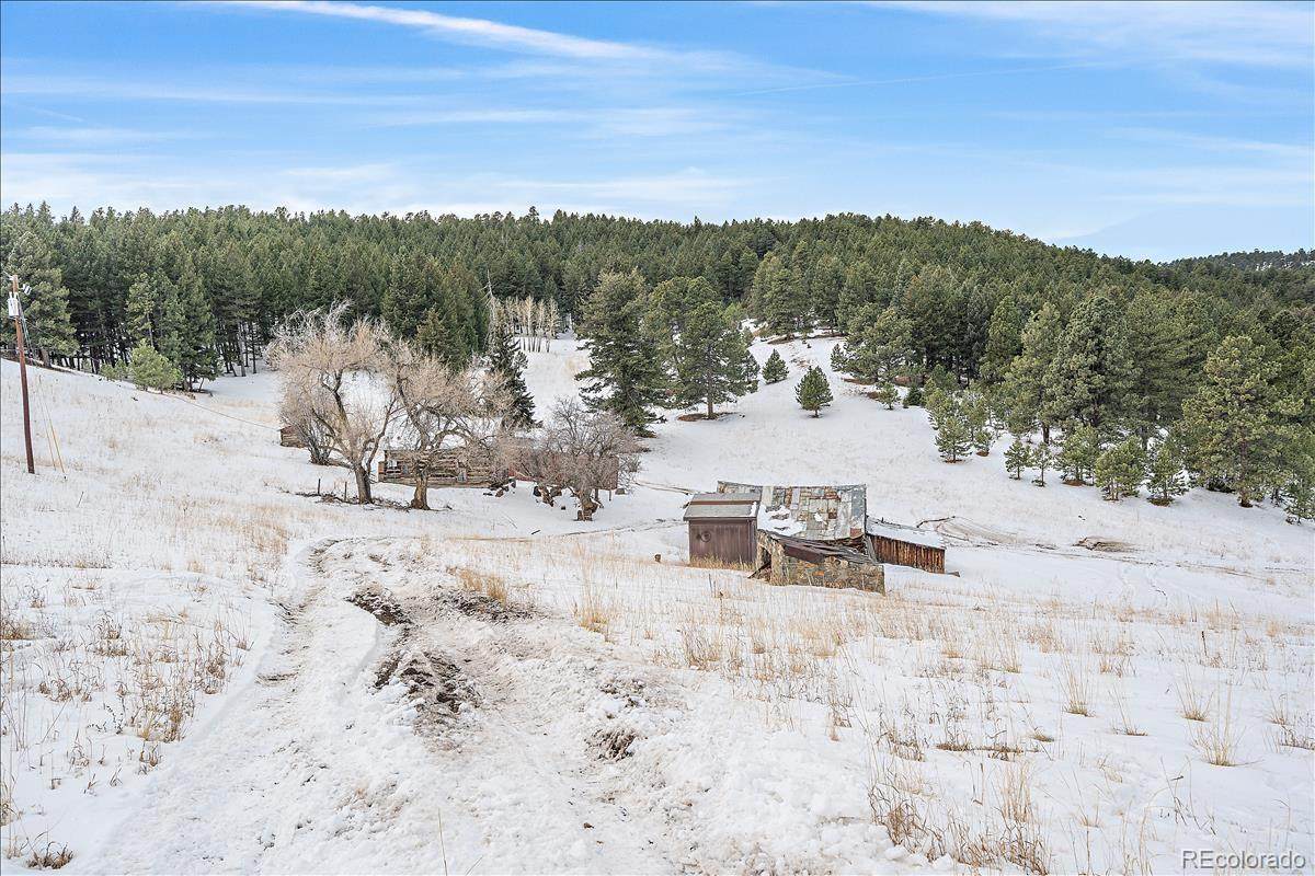 Lot 3 Grapevine Road - Photo 1