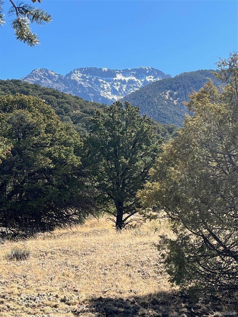 1718 Willow Creek Way - Photo 1