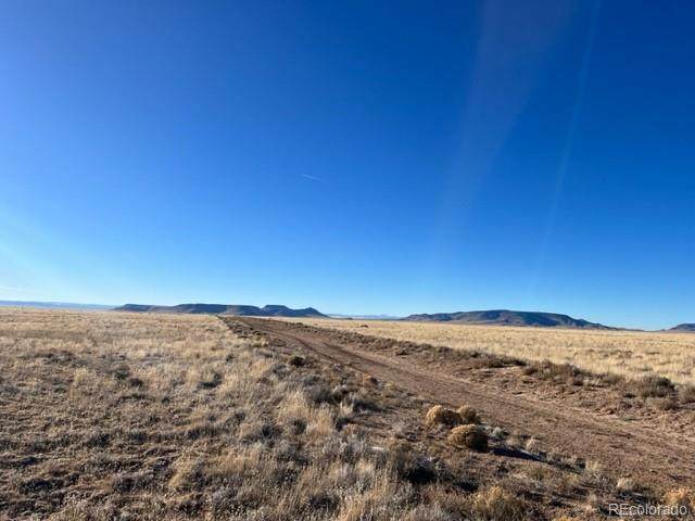 110 Delaware Trail - Photo 1