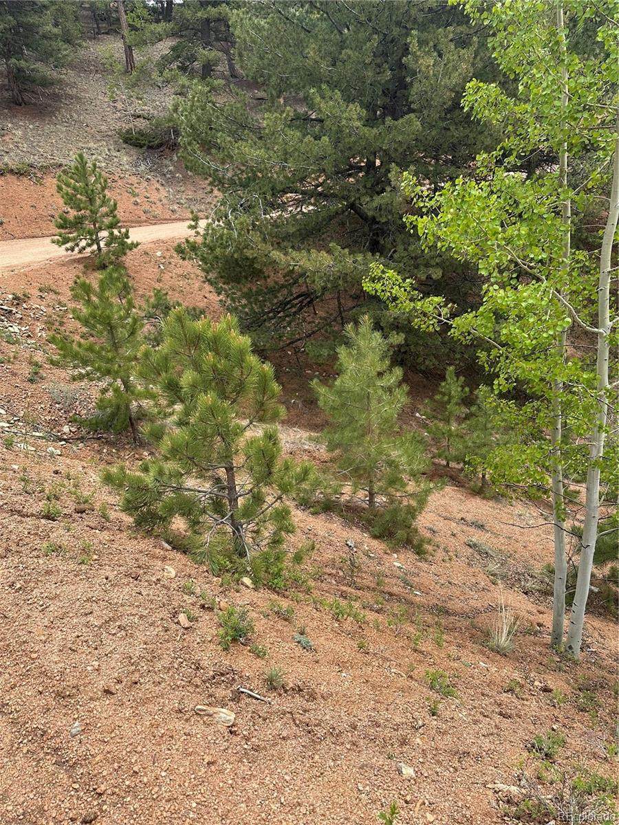 1600 Pikes Peak Drive - Photo 1
