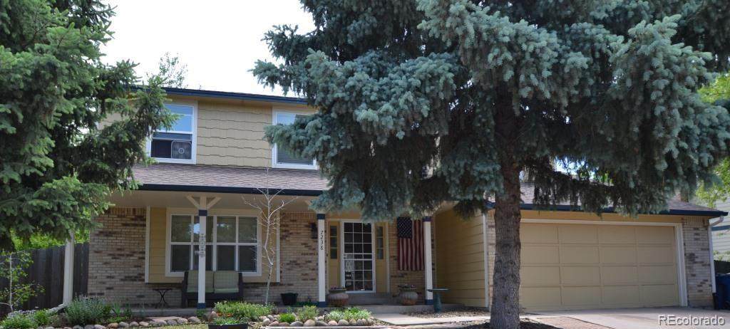7238 Kline Street - Photo 1