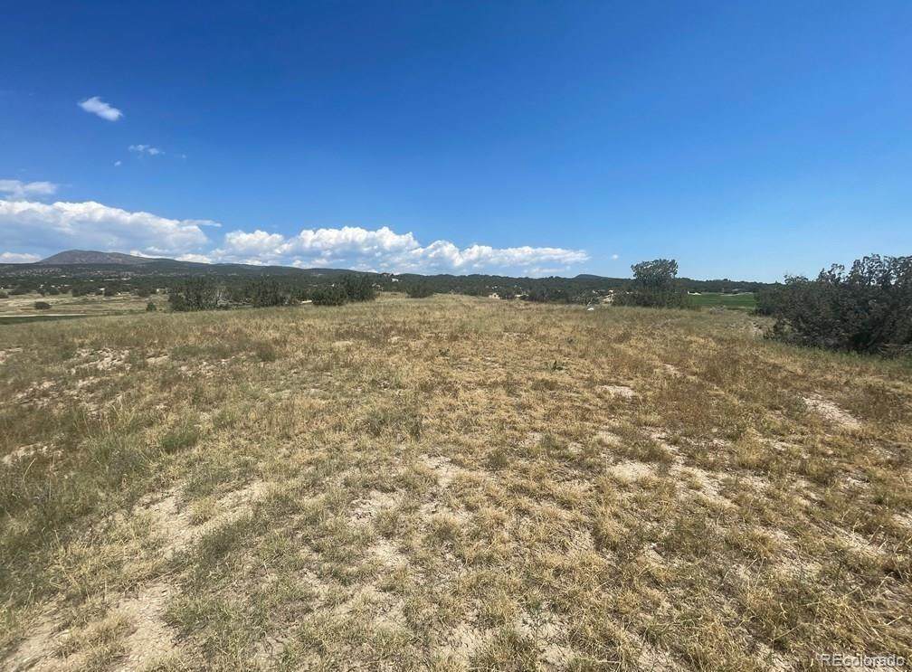 828 Pecos Point - Photo 1