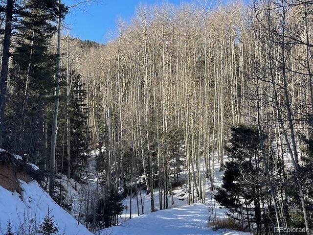 Lot 5252 Scott Road - Photo 1