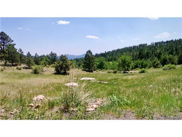 15066 Wilson Peak Trail - Photo 1