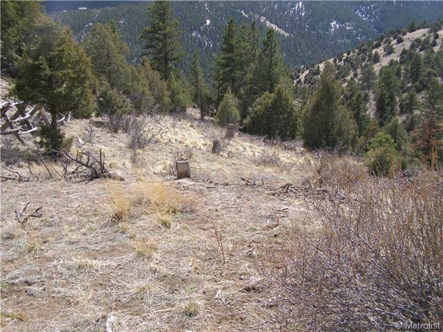 Lot L Laughing Valley Ranch Road - Photo 1