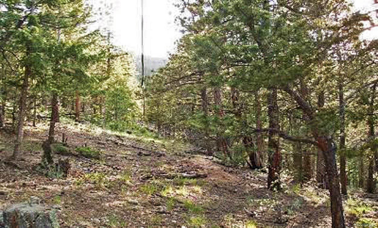 0 Elk Valley - Photo 1