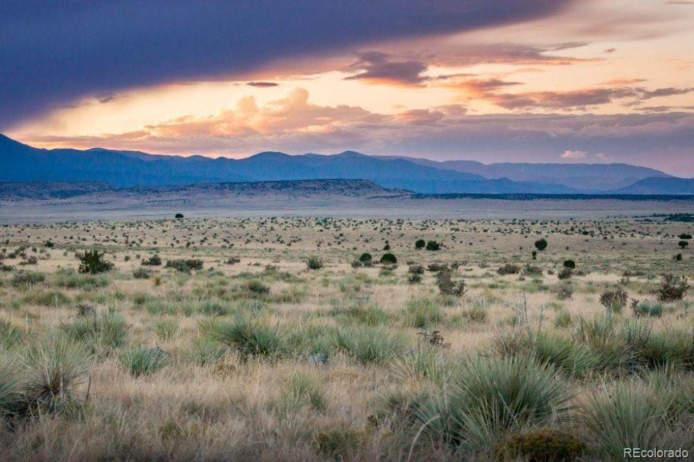 Lot 232 Turkey Ridge Ranch - Photo 1