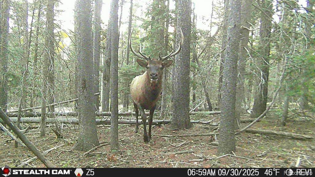 Lot 3427 Grojean Drive - Photo 1