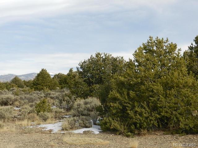 lot 6 N Canyon Drive - Photo 1