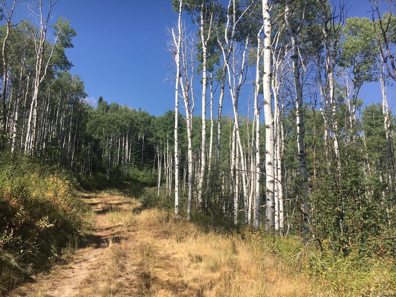 28100 #B Grouse Creek Park Rd - Photo 1