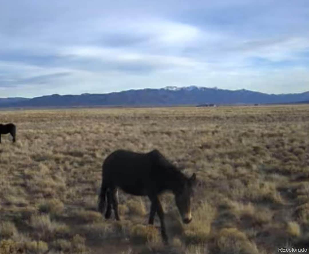 00 Acoma Trail - Photo 1