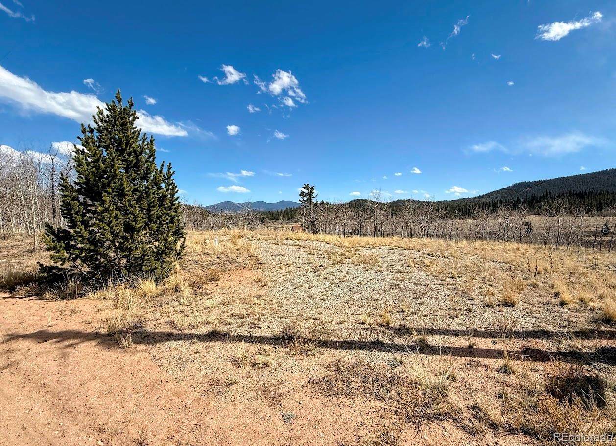 1238 Overland Circle - Photo 1