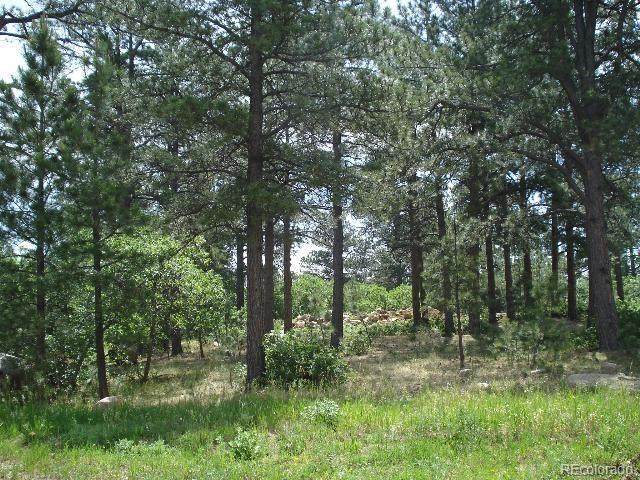 656 Silver Oak Grove - Photo 1