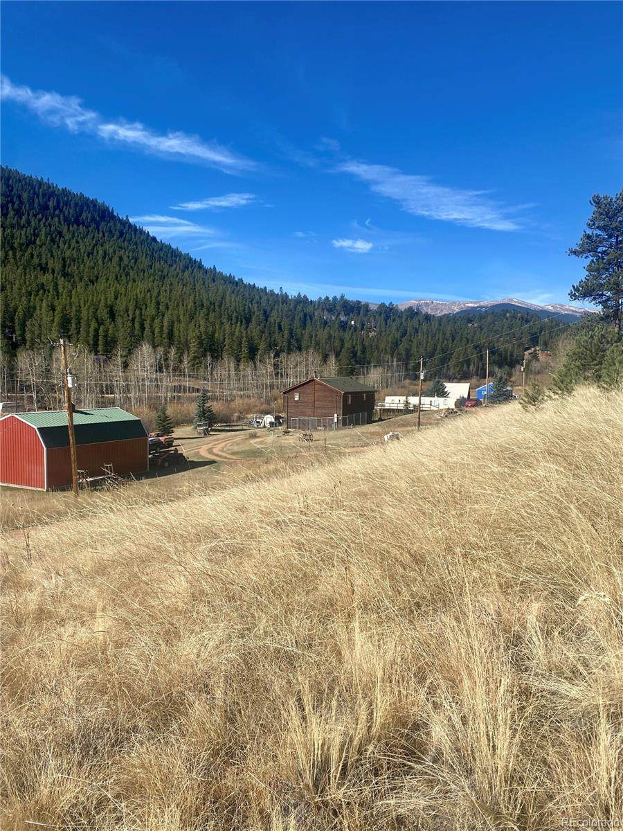 295 Bishop Road - Photo 1