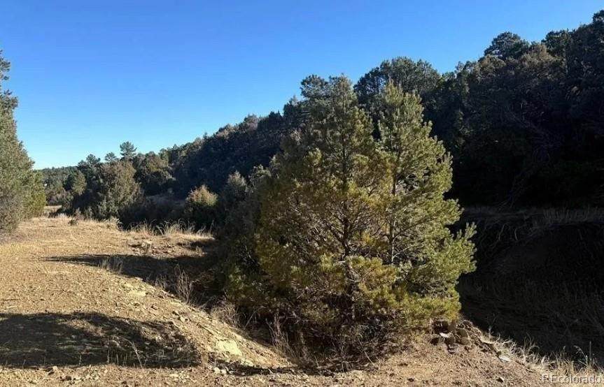 8100 La Belle Trail - Photo 1