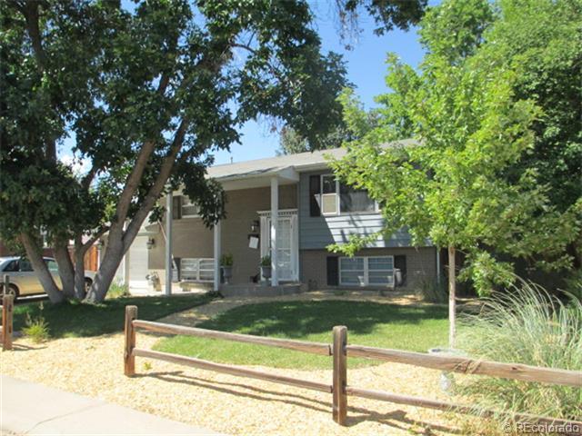 1383 Bowman Place, Northglenn, CO 80233 (#1227825) :: The Healey Group