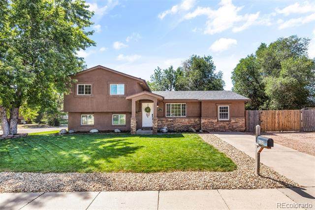 7165 White Mountain Drive - Photo 1