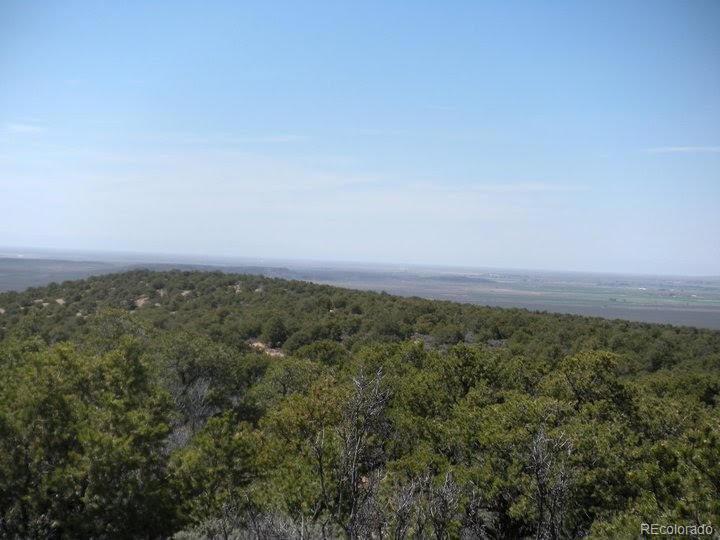 Vacant Land - Photo 1