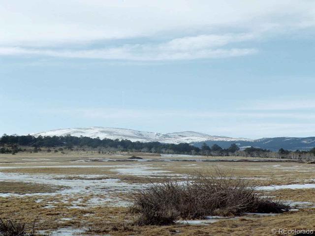 0 Lot 6 Lions Head Ranch - Photo 1