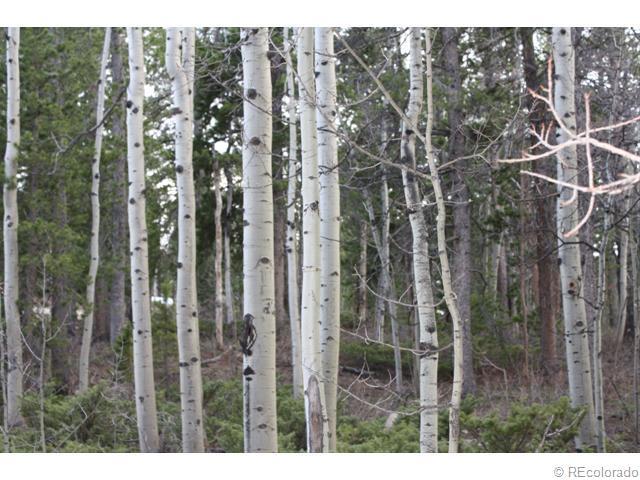 0 Severance Lodge Road - Photo 1