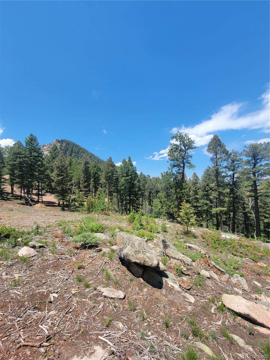 23953 Peak Drive - Photo 1