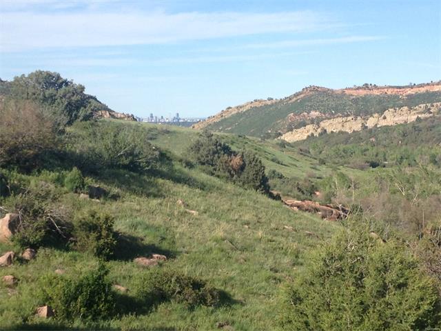 Hwy 285/Willow Springs Road - Photo 1