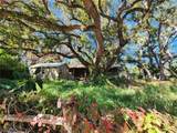 286 Shamrock Drive - Photo 72