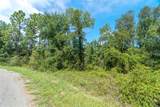 0024 Guava Pass Drive - Photo 23