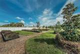 10106 Tolman Drive - Photo 59