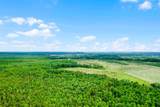  Boggy Marsh Road - Photo 4