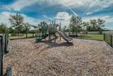 10106 Tolman Drive - Photo 57