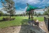 10106 Tolman Drive - Photo 58