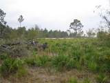 41025 20TH Place - Photo 4